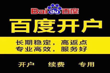 SEM主管实战技巧：案例分享与解读