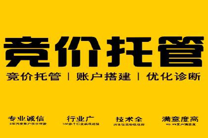 案例分析：竞价推广助力企业提升品牌知名度
